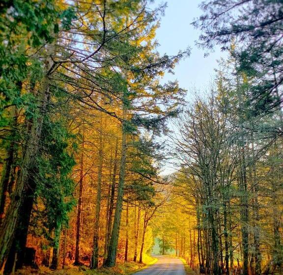 Otter's Pond Bed And Breakfast