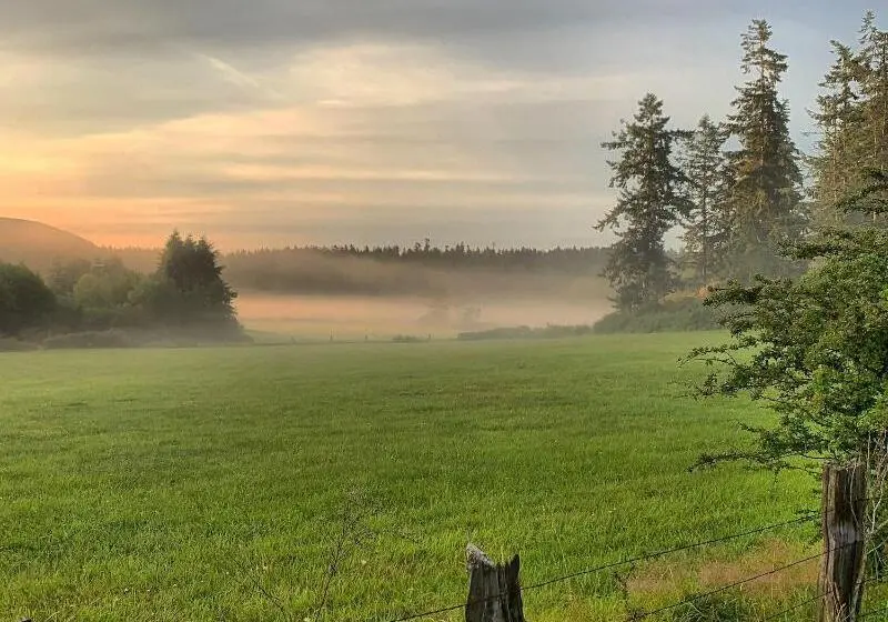 Otter's Pond Bed And Breakfast