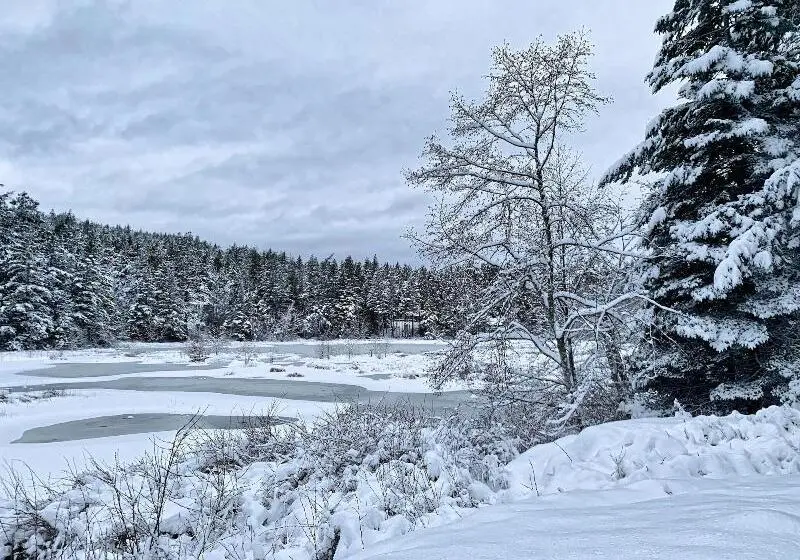 Otter's Pond Bed And Breakfast