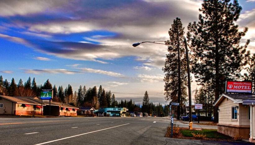 Shasta Pines Motel & Suites