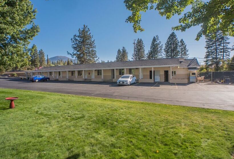 Shasta Pines Motel & Suites
