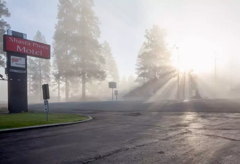 Shasta Pines Motel & Suites
