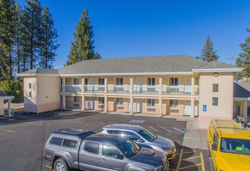 Shasta Pines Motel & Suites