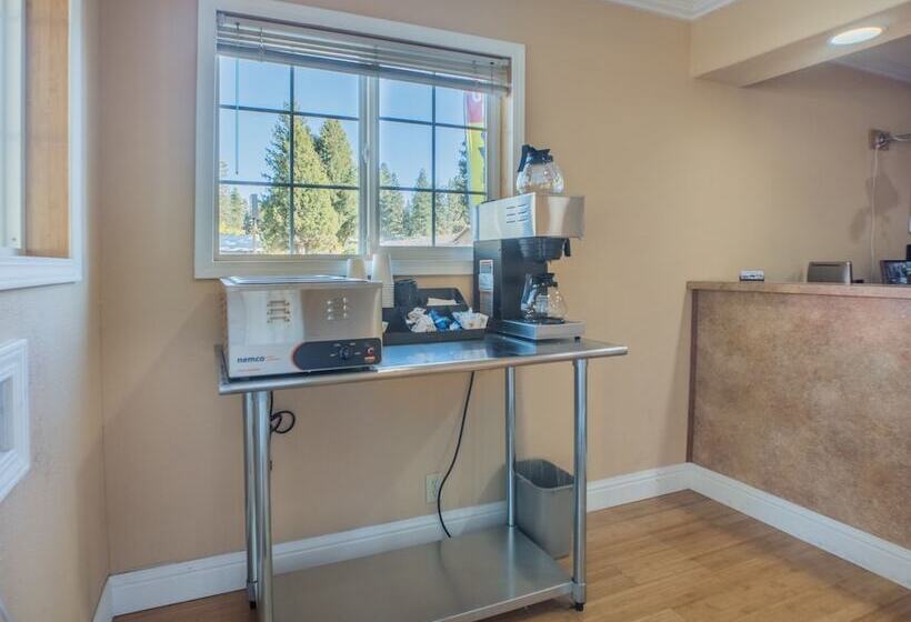 Shasta Pines Motel & Suites