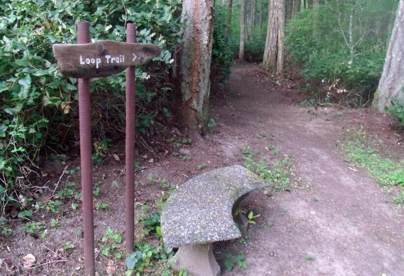 住宿加早餐  Inn To The Woods