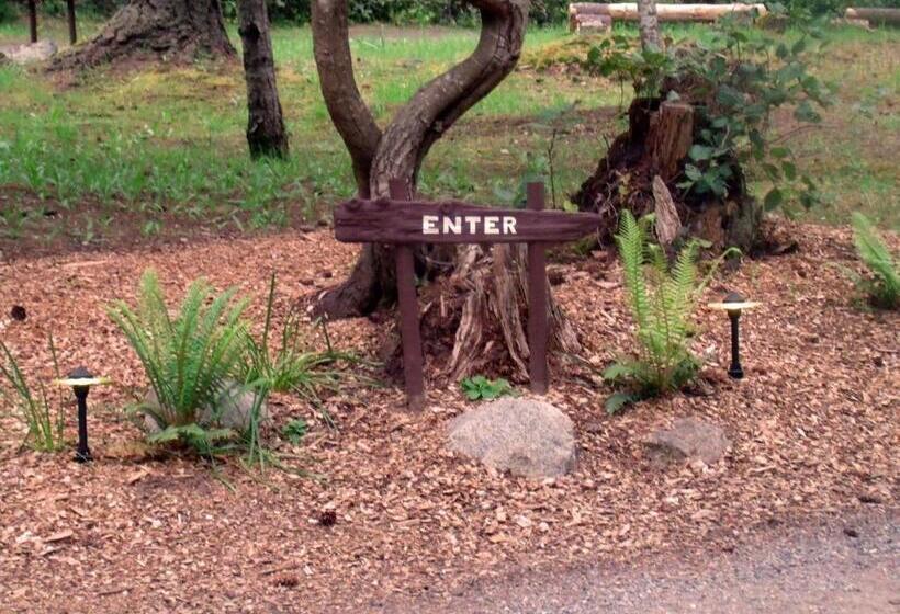 住宿加早餐  Inn To The Woods