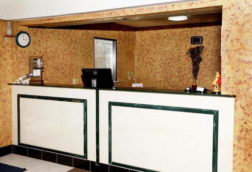 Отель Executive Inn Opp