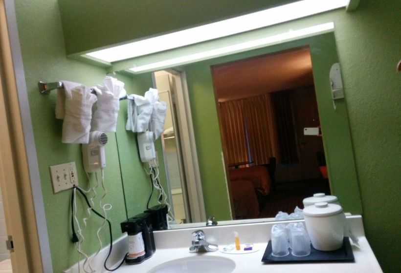 בית מלון כפרי Selma