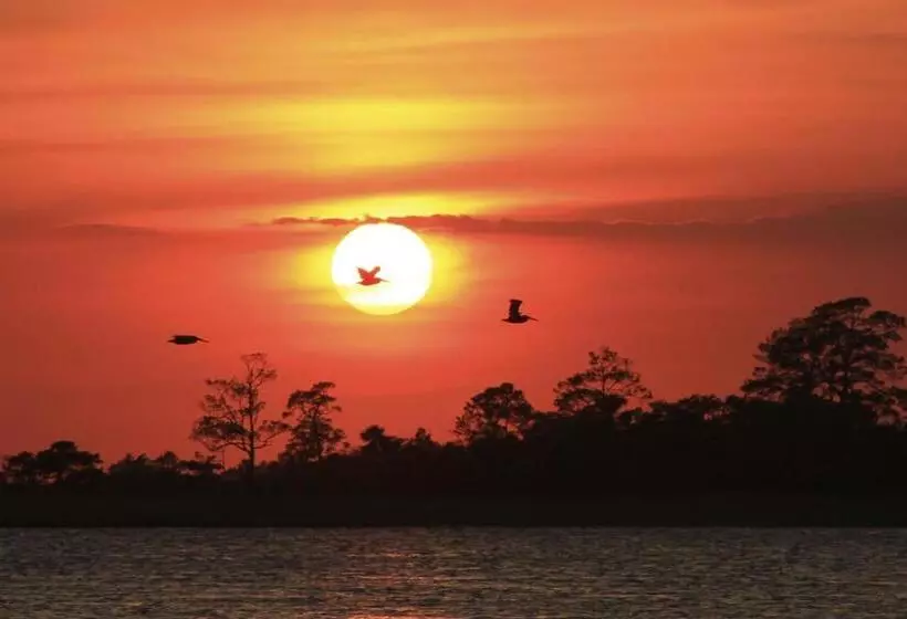 ホテル Tybee