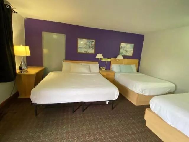 モーテル Tides Inn At Stehli Beach