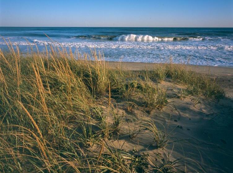 منتجع Windward Shores