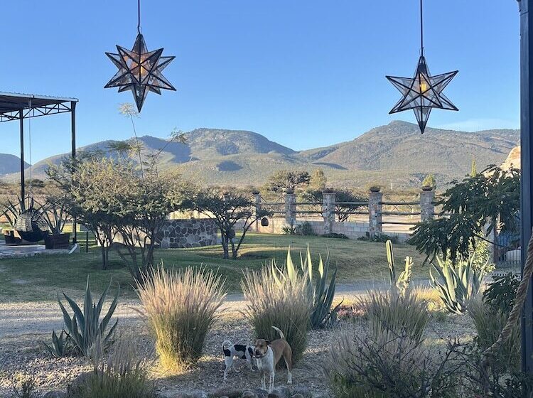 فندق Casa Pavo Real En Viñedo El Pavo Real