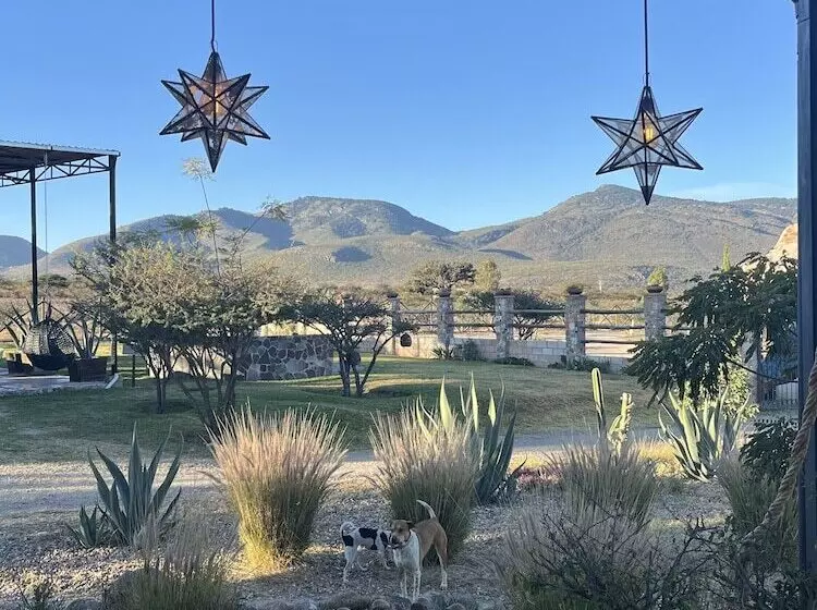 Hotelli Casa Pavo Real En Viñedo El Pavo Real