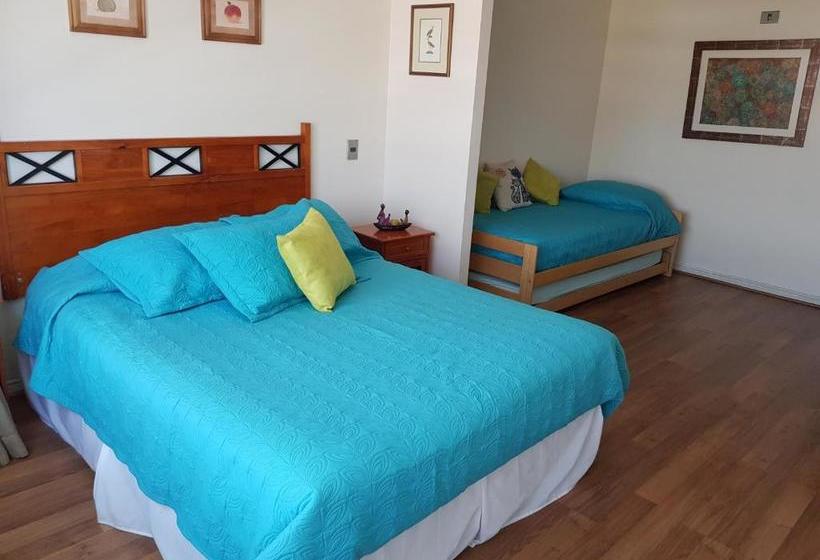 Pedro De Valdivia Apartment Providencia