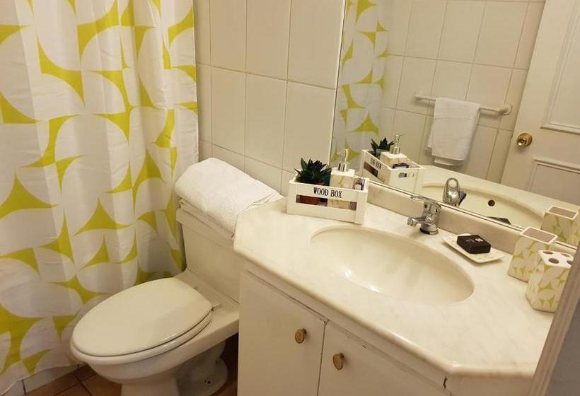 Pedro De Valdivia Apartment Providencia