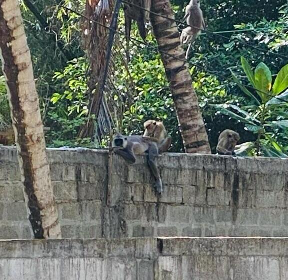 بنسيون Art House Hiriketiya