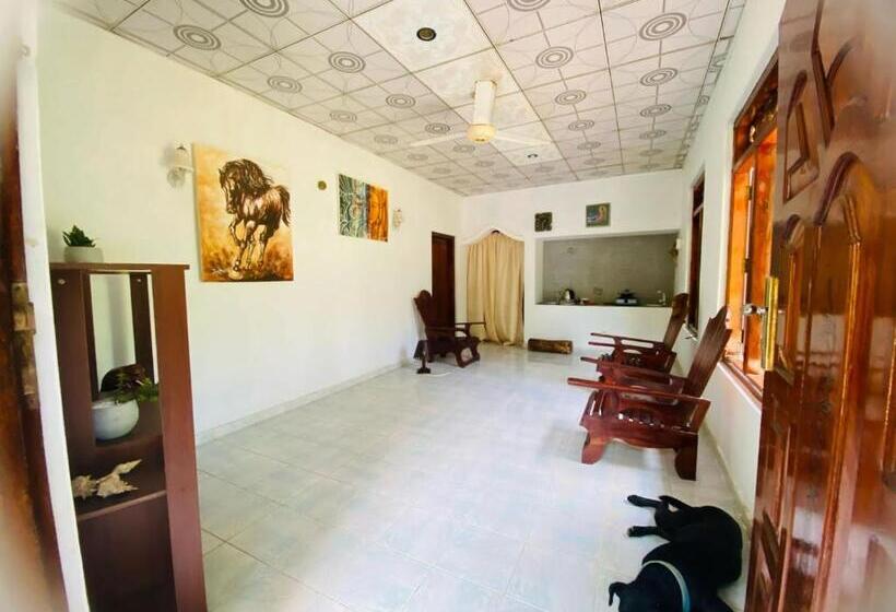 بنسيون Art House Hiriketiya
