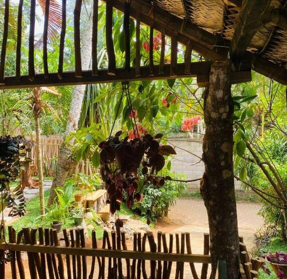 بنسيون Art House Hiriketiya