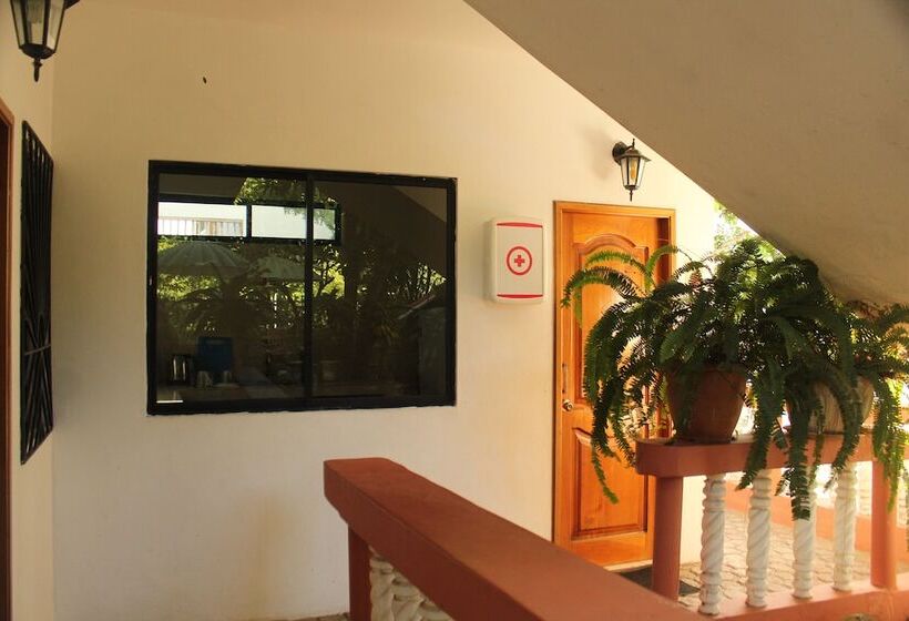 旅馆 Casa De Nelly