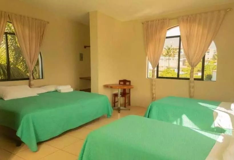 هاستل Casa De Nelly