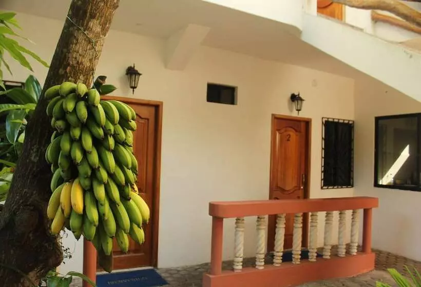 هاستل Casa De Nelly