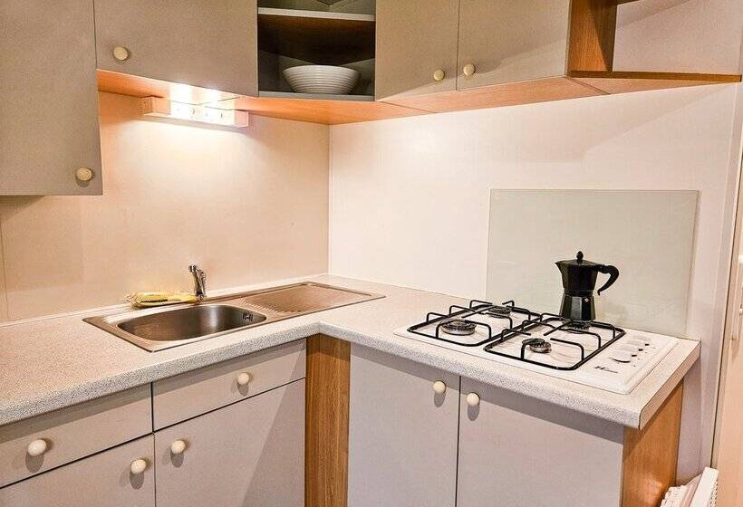 Bungalows y Cabanas  SOLOPUENT Natur