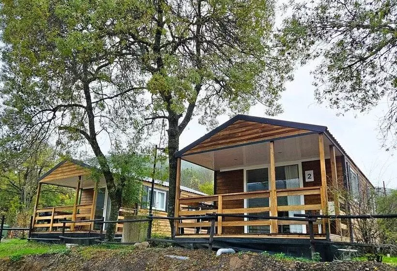 Bungalows y Cabanas  SOLOPUENT Natur