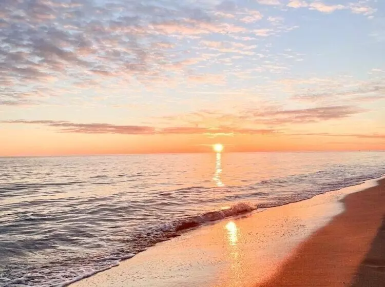 ホテル Gold Beach