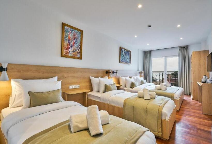 Joyway Hotels Istanbul Sultanahmet