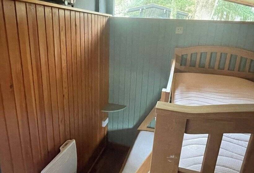 11 Tan Y Coed Woodland Lodge