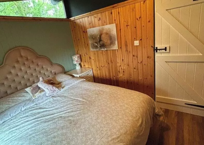 11 Tan Y Coed Woodland Lodge