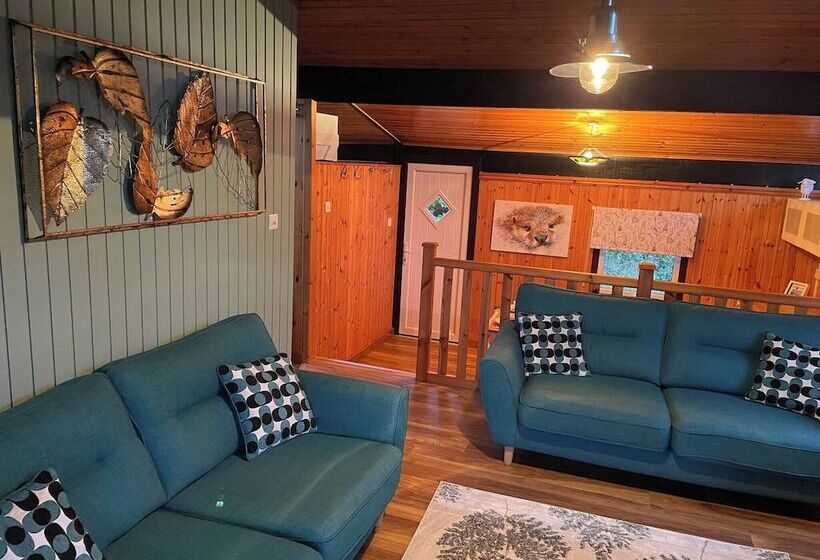 11 Tan Y Coed Woodland Lodge