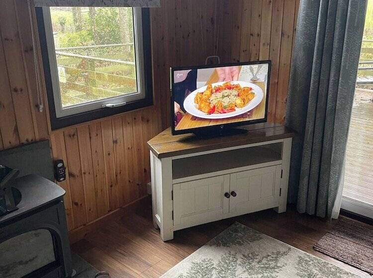 11 Tan Y Coed Woodland Lodge