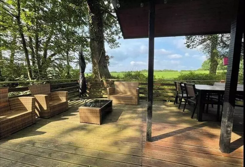 11 Tan Y Coed Woodland Lodge