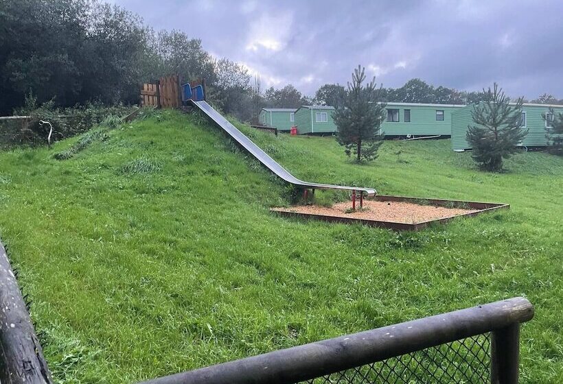 11 Tan Y Coed Woodland Lodge