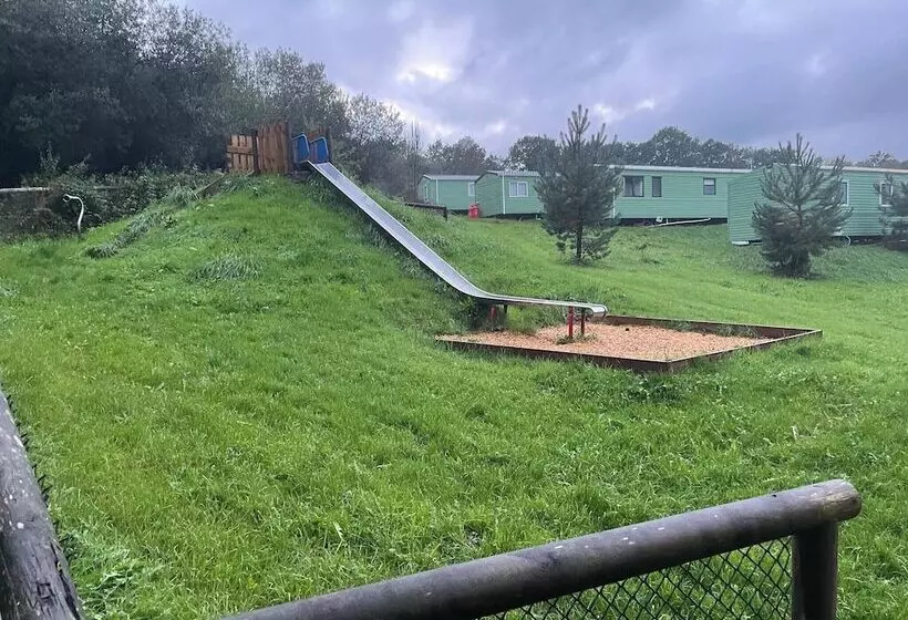 11 Tan Y Coed Woodland Lodge