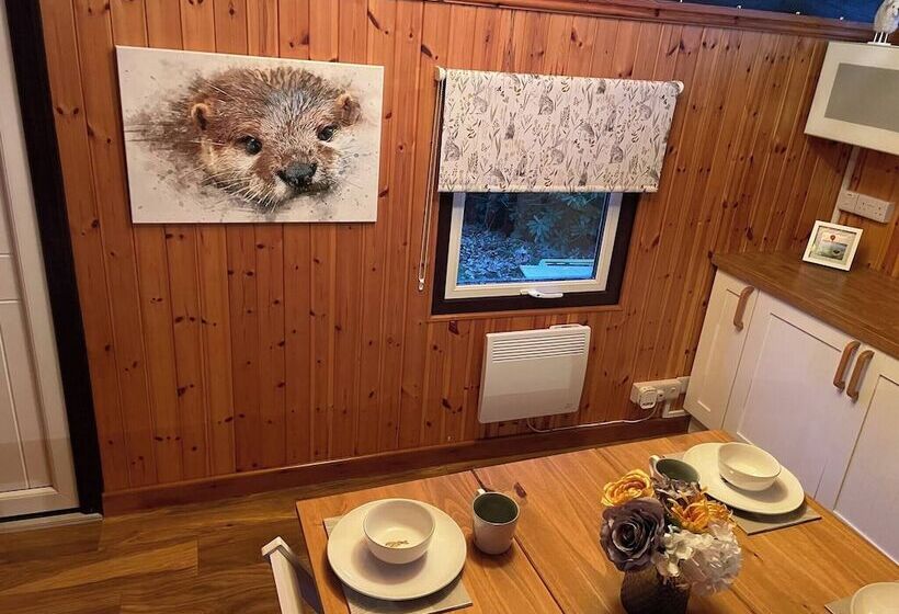 11 Tan Y Coed Woodland Lodge