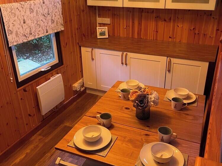 11 Tan Y Coed Woodland Lodge