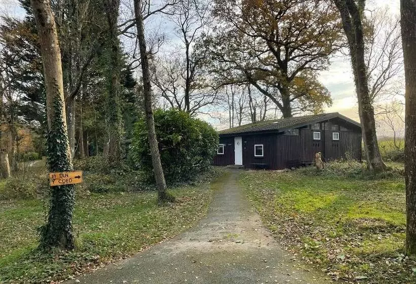 11 Tan Y Coed Woodland Lodge