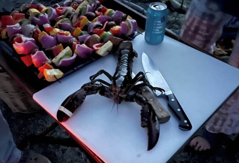 ベッドアンドブレックファースト Corea Harbor S Black Duck Inn