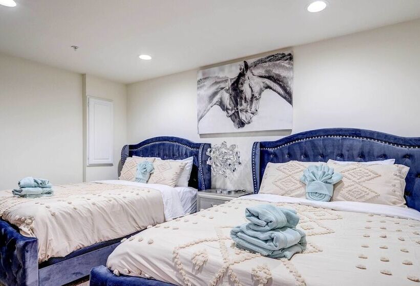 Game Room + Gym: Downtown Dc Home!