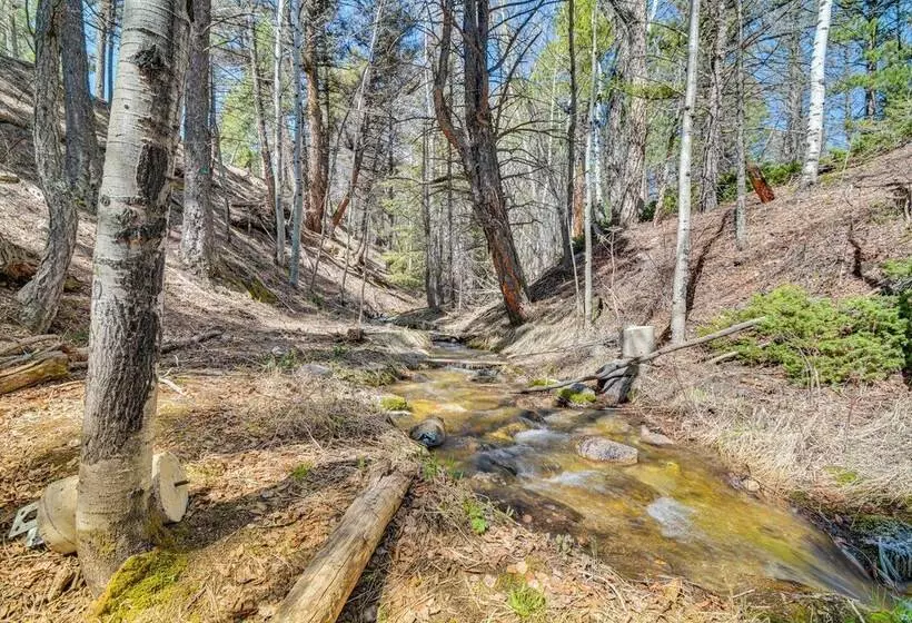 Mccall Creekside Cabin  Secluded Buena Vista Gem!