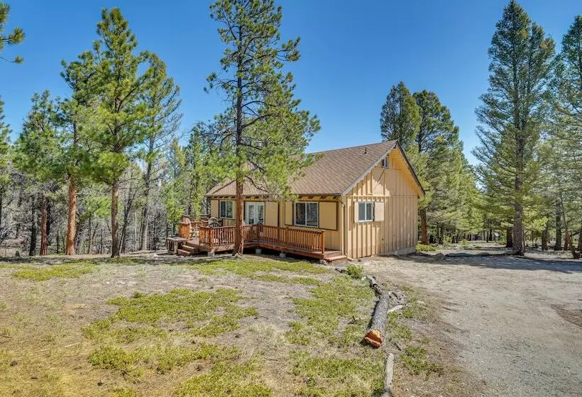 Mccall Creekside Cabin  Secluded Buena Vista Gem!