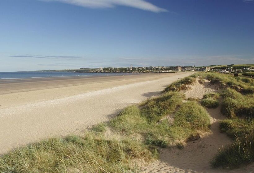 اقامتگاه Beautiful Hidden Hideout   Centre Of St Andrews