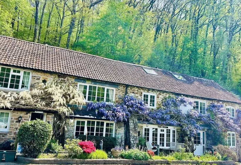 Residenssi Charming Holiday Cottage In Devon   Country Views
