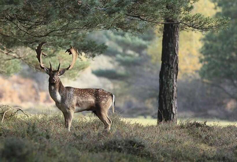 The Dorset Coast   A Home Away From Home