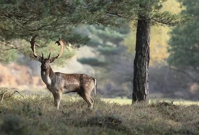 The Dorset Coast   A Home Away From Home
