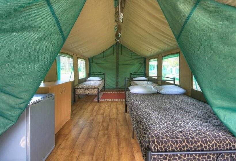 Big4 Nelligen Holiday Park