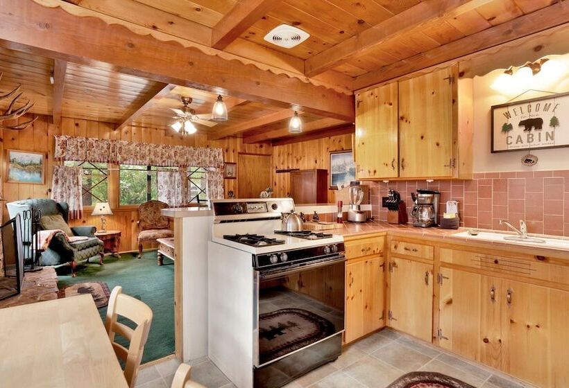 Cozy Bear Cabin #2295