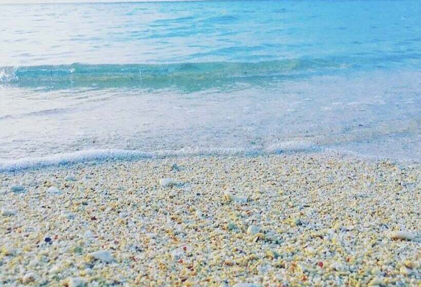 Guest House Love&peace!!   Hostel